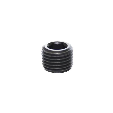 BL'G PLUG 3/8