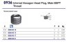 HEXAGON PLUG MALE 1/2" BSPT NI