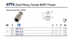 FEMALE STUD 1/2"BSPP SS STEEL