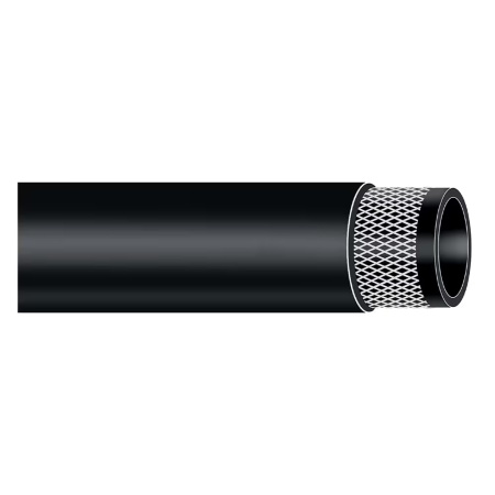 TBSE 302 N/L            6X13