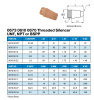 SILENCER MALE 1/4" NPT